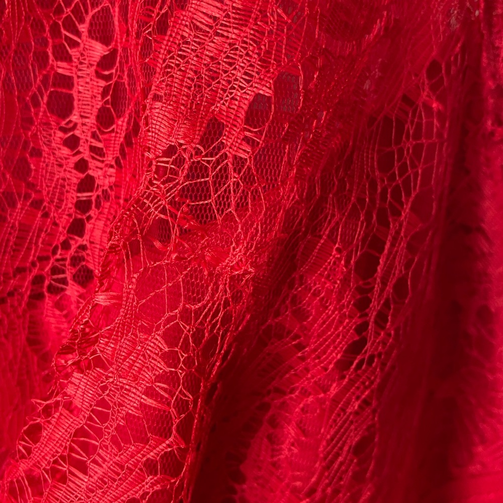 TADASHI SHOJI Cherry Red Chantilly Lace Bateau Neckline Sheath Dress SZ 6 - Picture 6 of 12